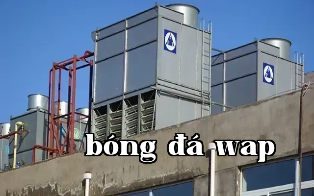 Công ty phát triển nông sản phòng sạch trang trí