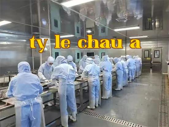 Công ty TNHH Y Tế Fulingte (Trường Sa)
