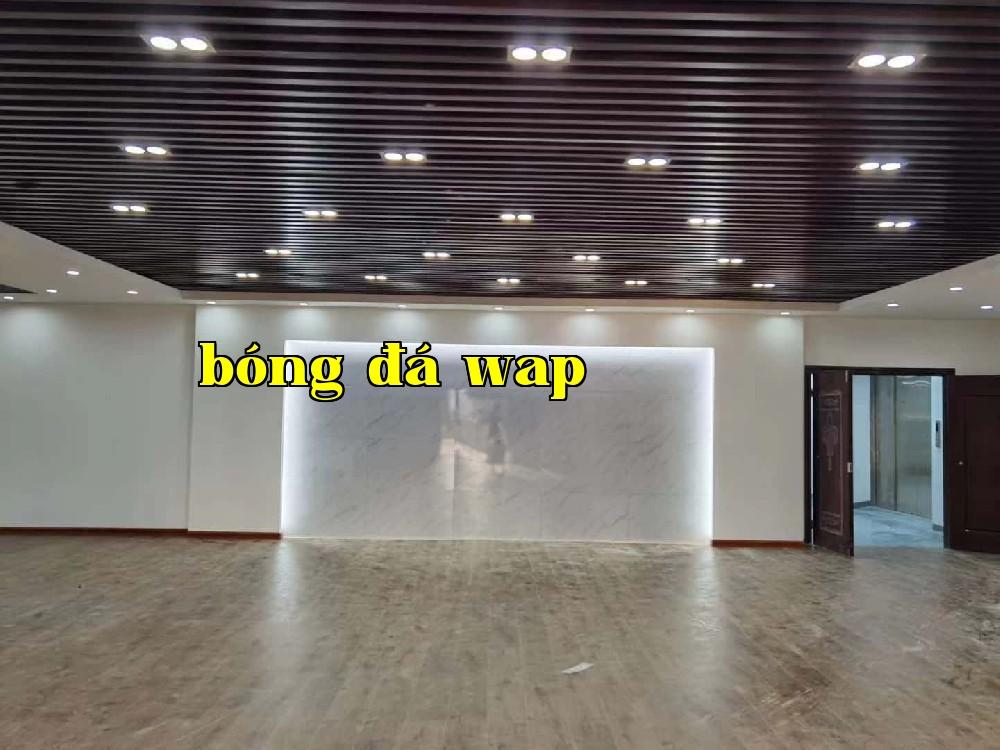 Công ty TNHH Thiết bị Tự động Star Harmony (Sâu Trì)